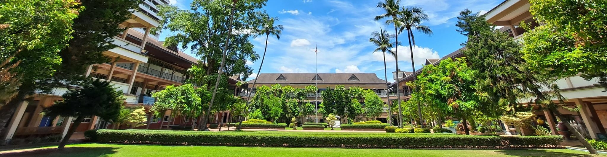 แบนเนอร์มหาวิทยาลัย